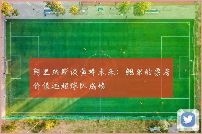 阿里纳斯谈黄蜂未来：鲍尔的票房价值远超球队成绩